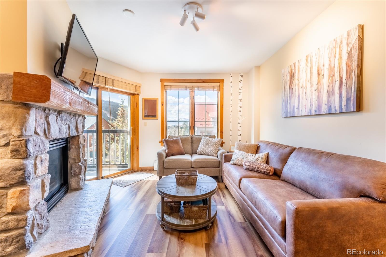 MLS Image #3 for 150  dercum square,keystone, Colorado