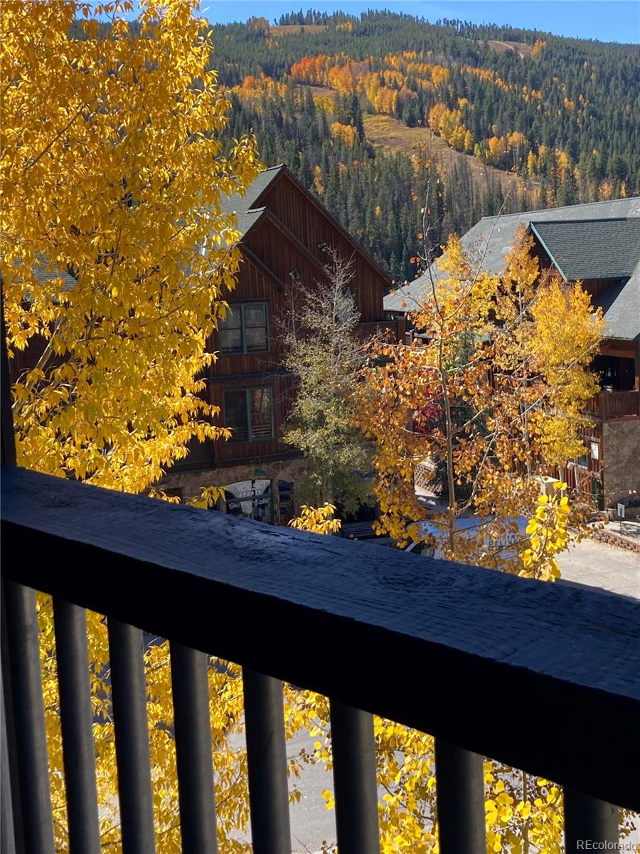 MLS Image #36 for 150  dercum square,keystone, Colorado