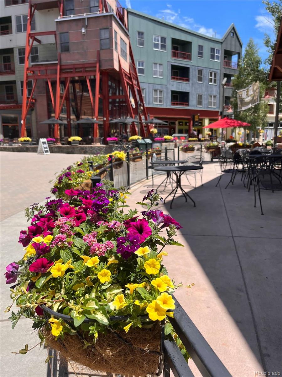 MLS Image #39 for 150  dercum square,keystone, Colorado