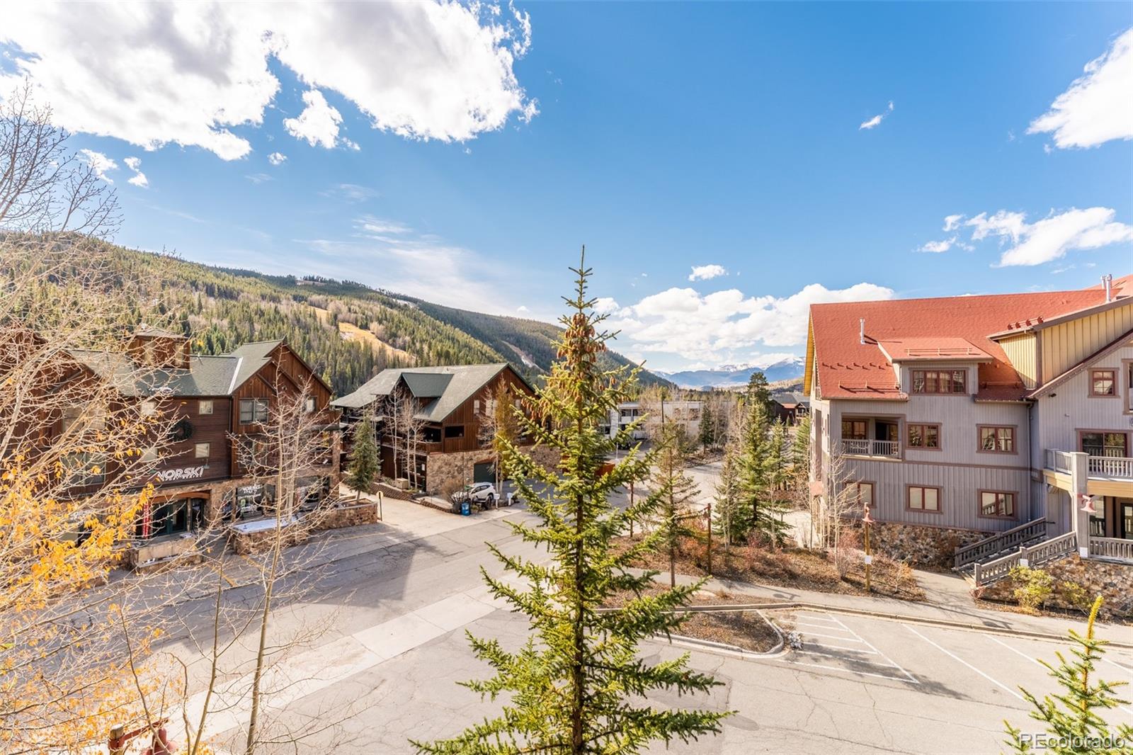 MLS Image #4 for 150  dercum square,keystone, Colorado