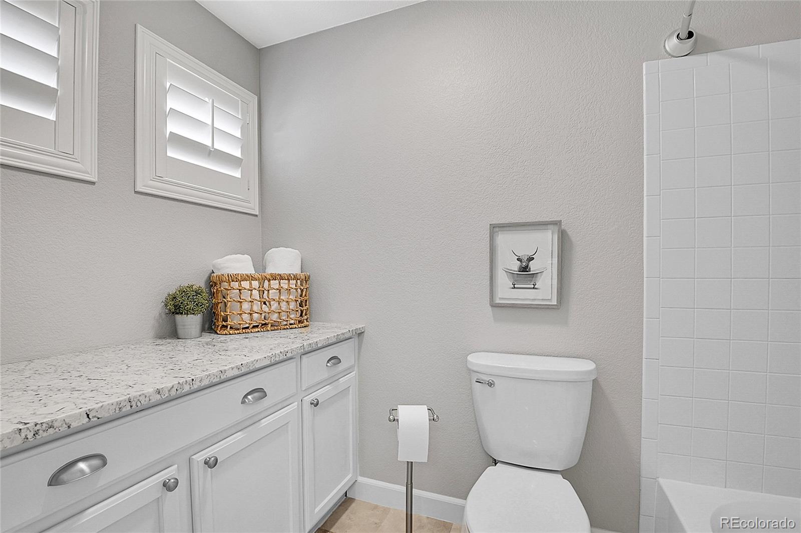 MLS Image #26 for 2889  windridge circle,highlands ranch, Colorado