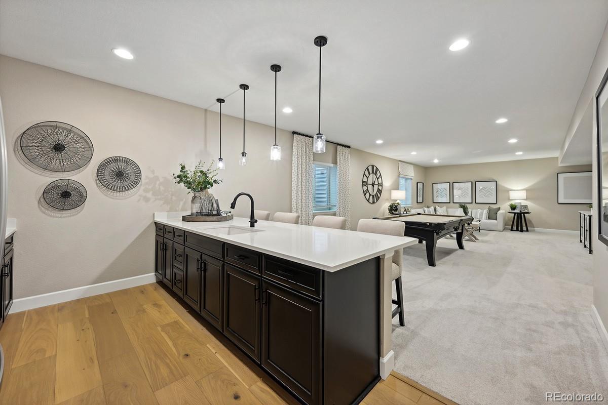 MLS Image #14 for 8360  snake river street,littleton, Colorado