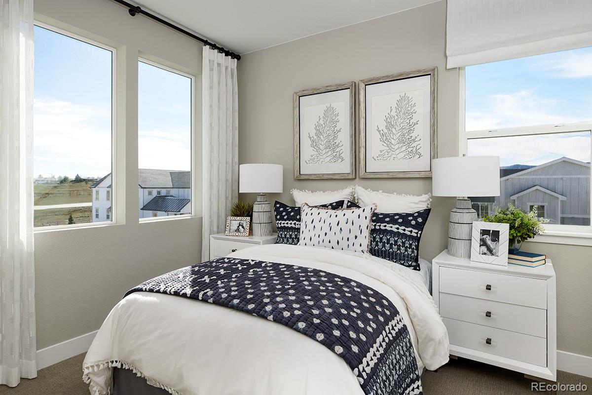 MLS Image #8 for 8445  snake river street,littleton, Colorado