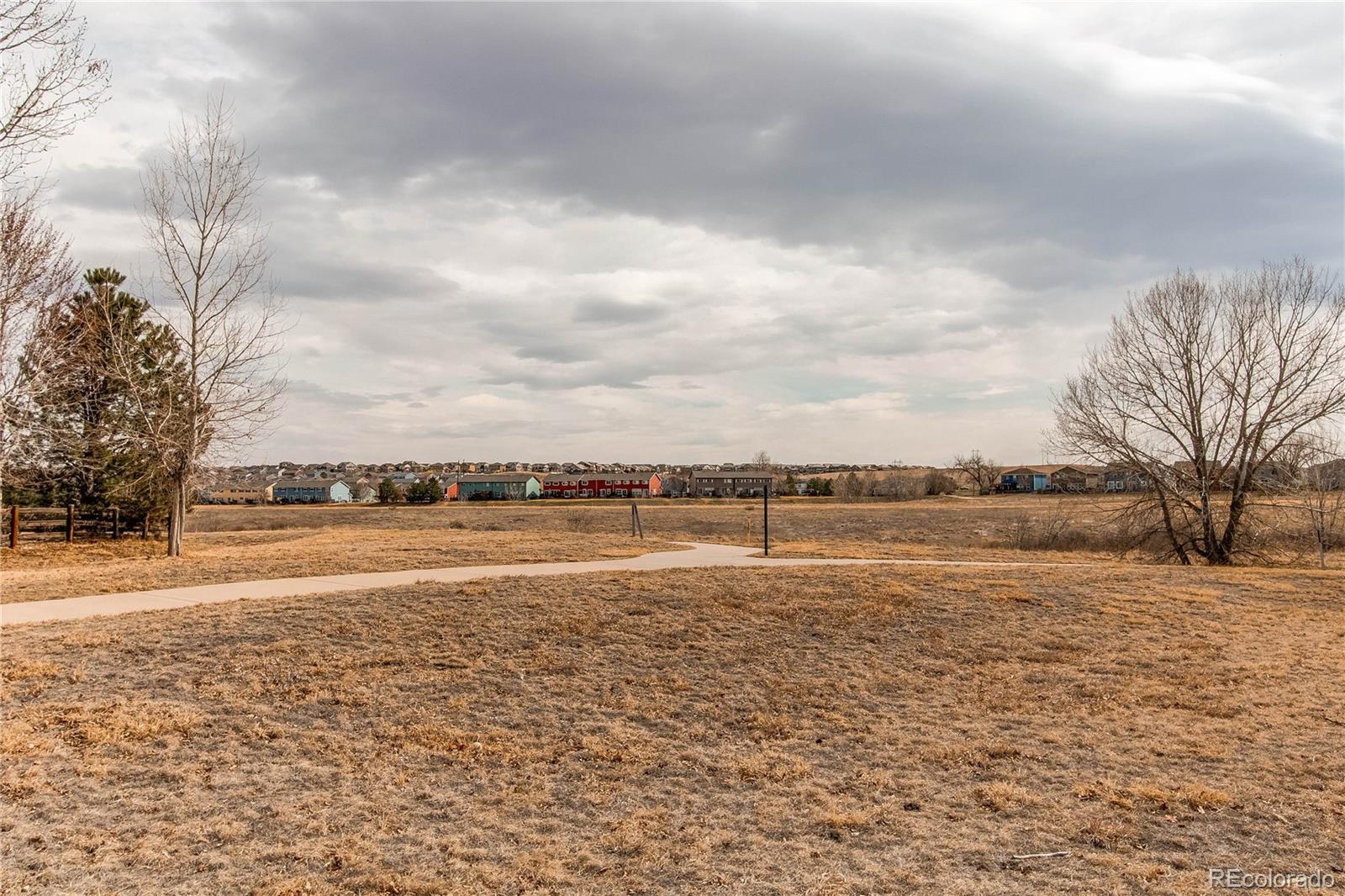 MLS Image #40 for 463  mazzini street,erie, Colorado