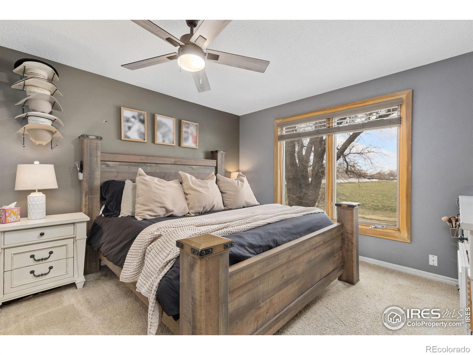 MLS Image #12 for 434  7th street,mead, Colorado