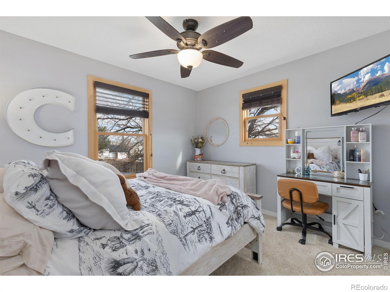 MLS Image #14 for 434  7th street,mead, Colorado