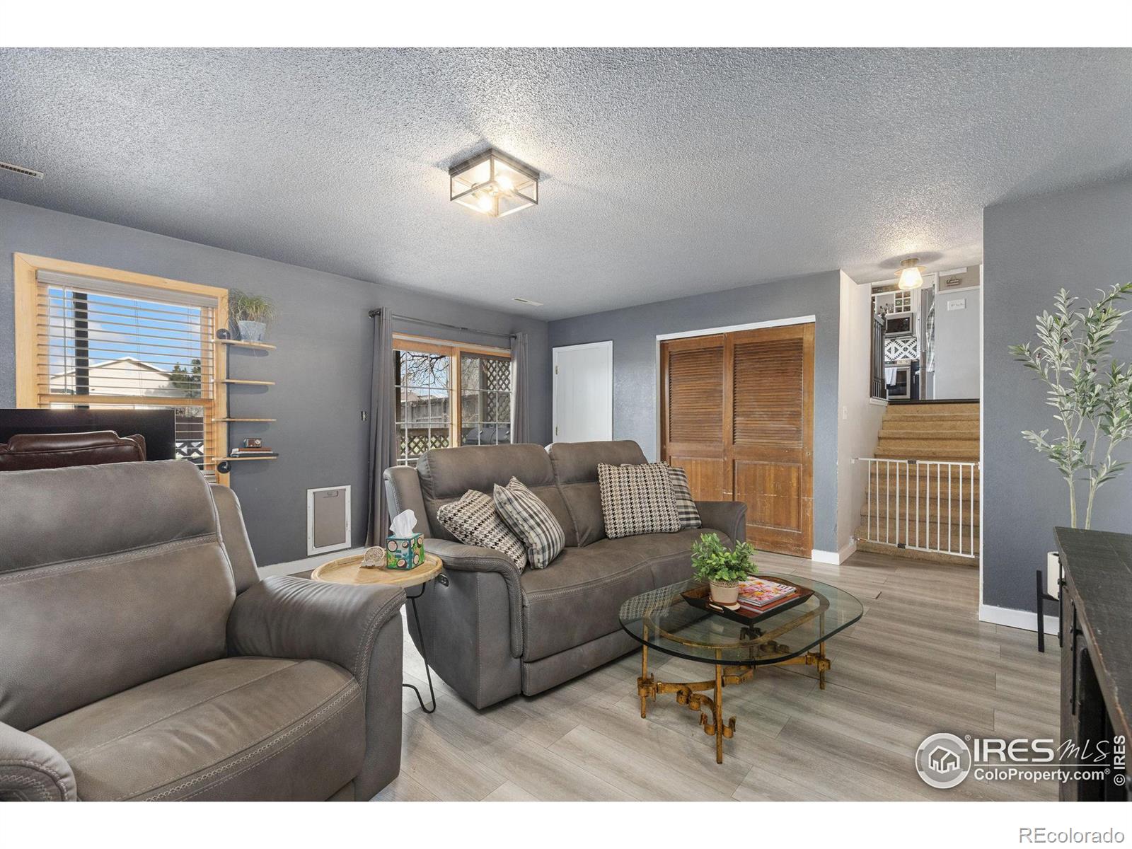MLS Image #18 for 434  7th street,mead, Colorado