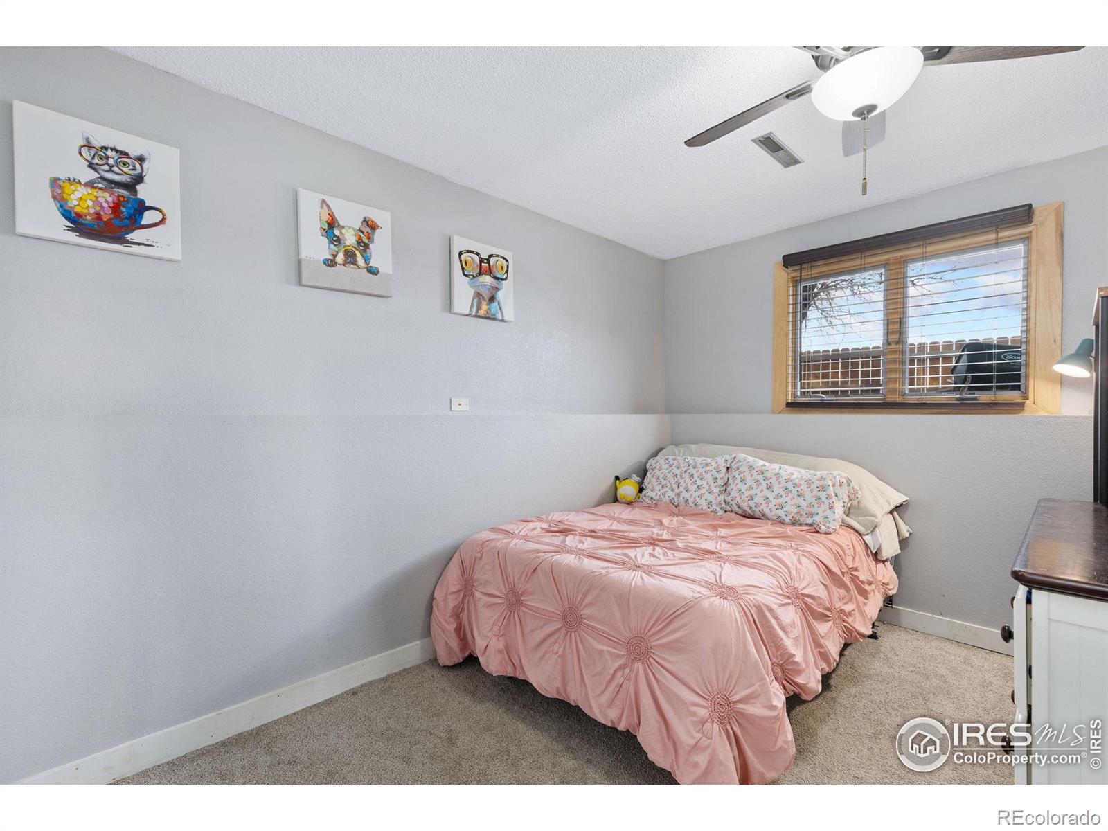 MLS Image #20 for 434  7th street,mead, Colorado