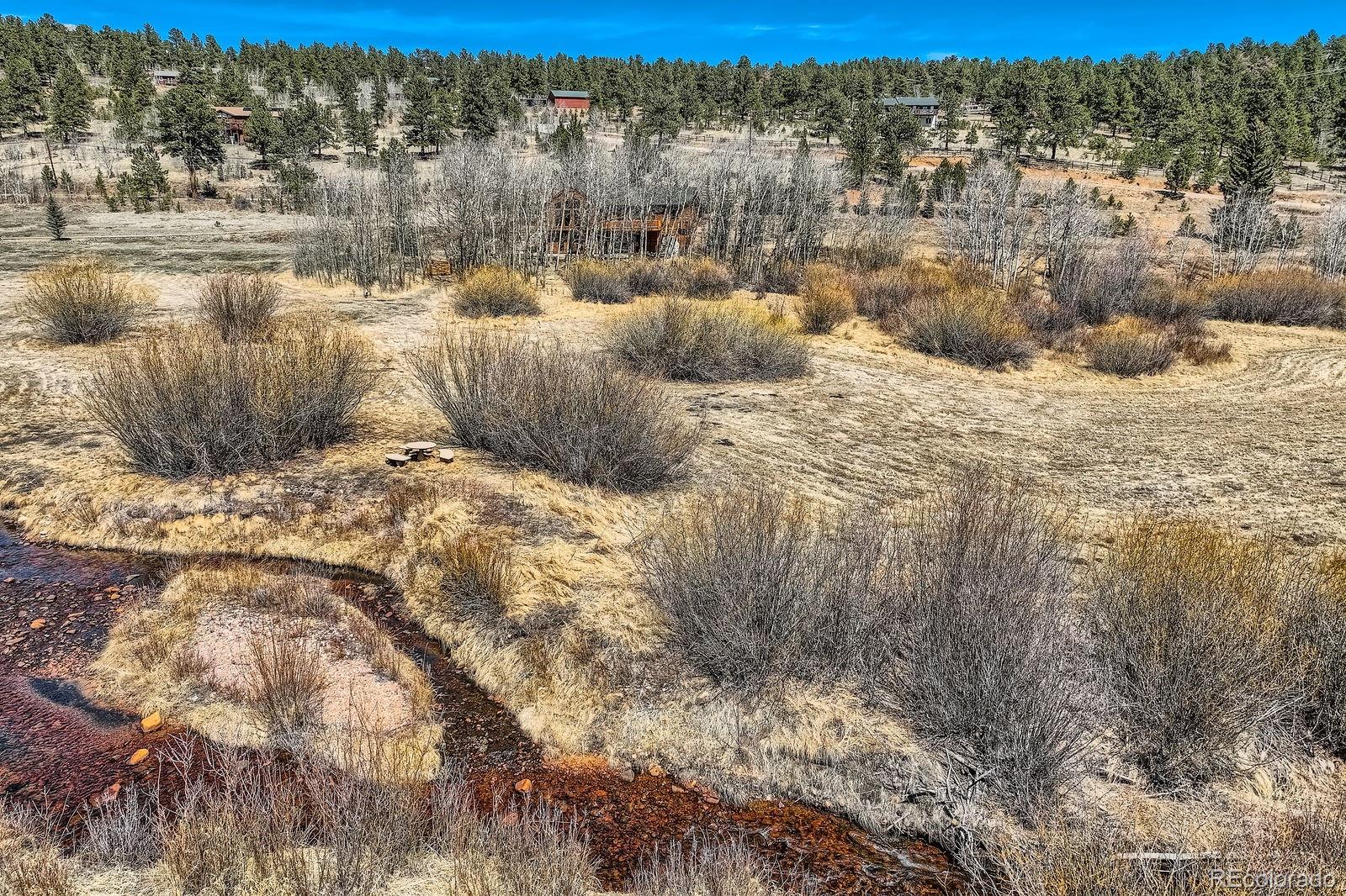 MLS Image #1 for 44  forest ridge circle,bailey, Colorado