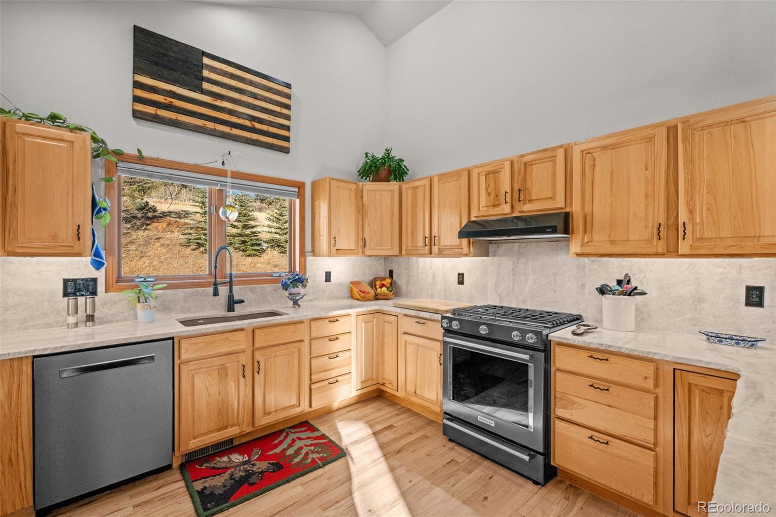MLS Image #11 for 44  forest ridge circle,bailey, Colorado
