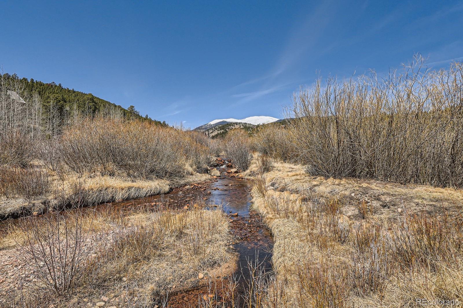 MLS Image #2 for 44  forest ridge circle,bailey, Colorado