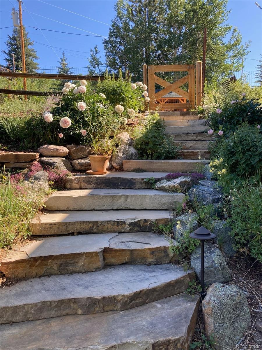 MLS Image #27 for 44  forest ridge circle,bailey, Colorado