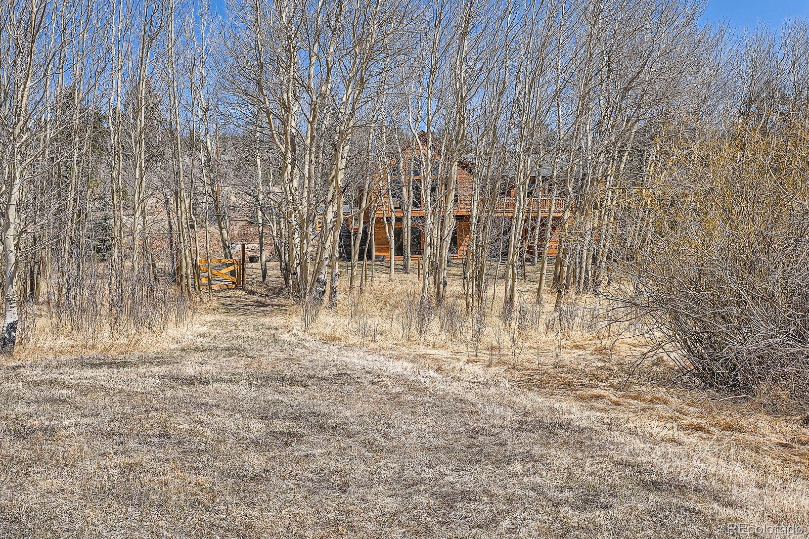 MLS Image #33 for 44  forest ridge circle,bailey, Colorado