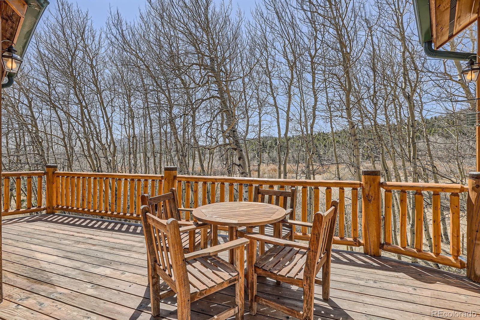 MLS Image #36 for 44  forest ridge circle,bailey, Colorado