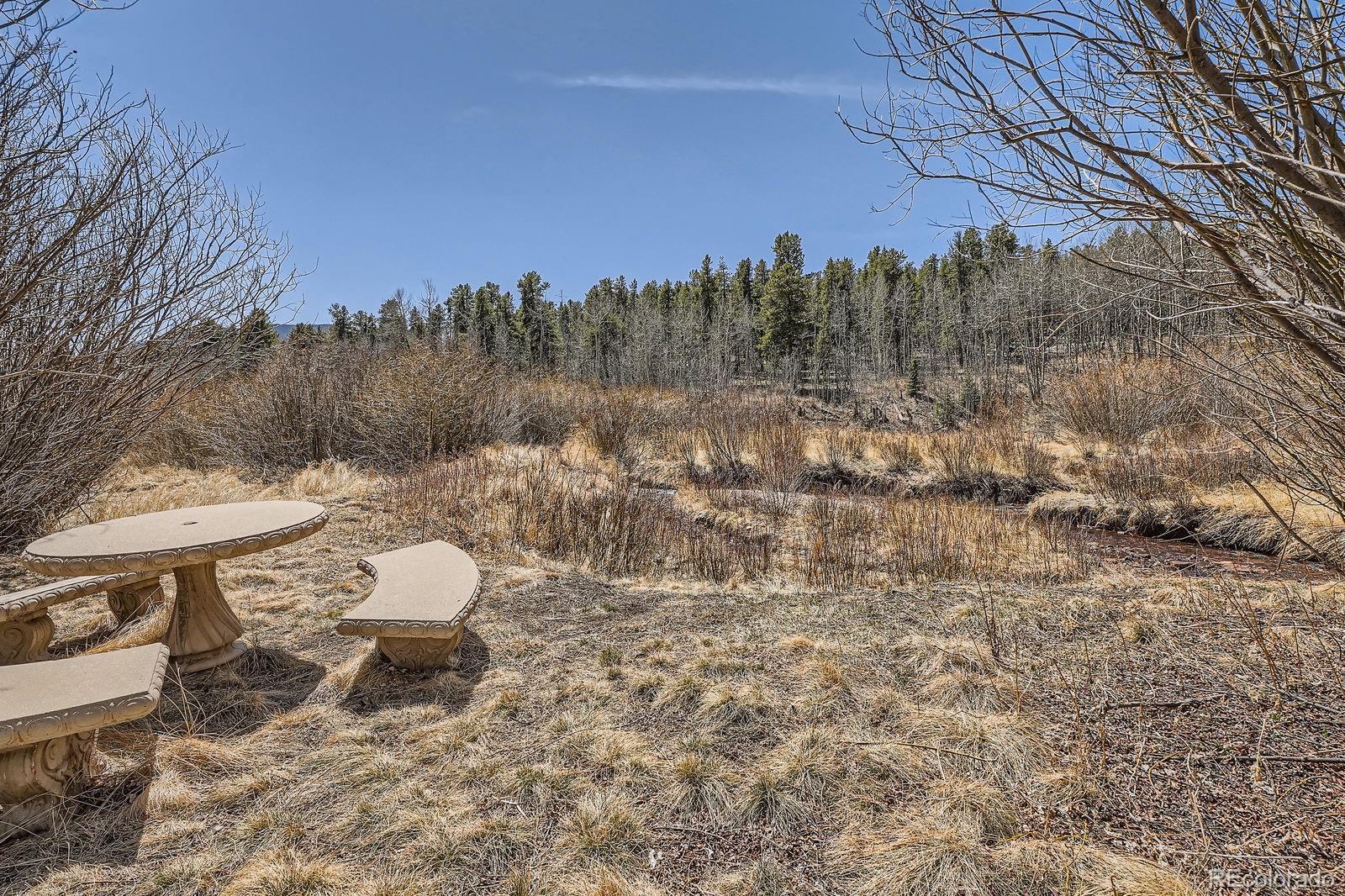 MLS Image #37 for 44  forest ridge circle,bailey, Colorado