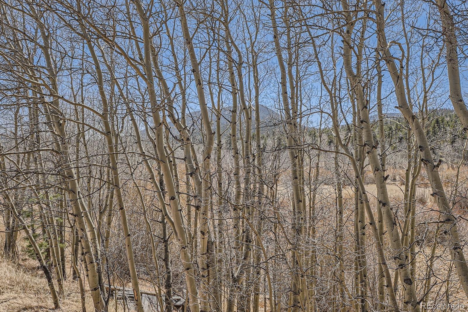 MLS Image #38 for 44  forest ridge circle,bailey, Colorado