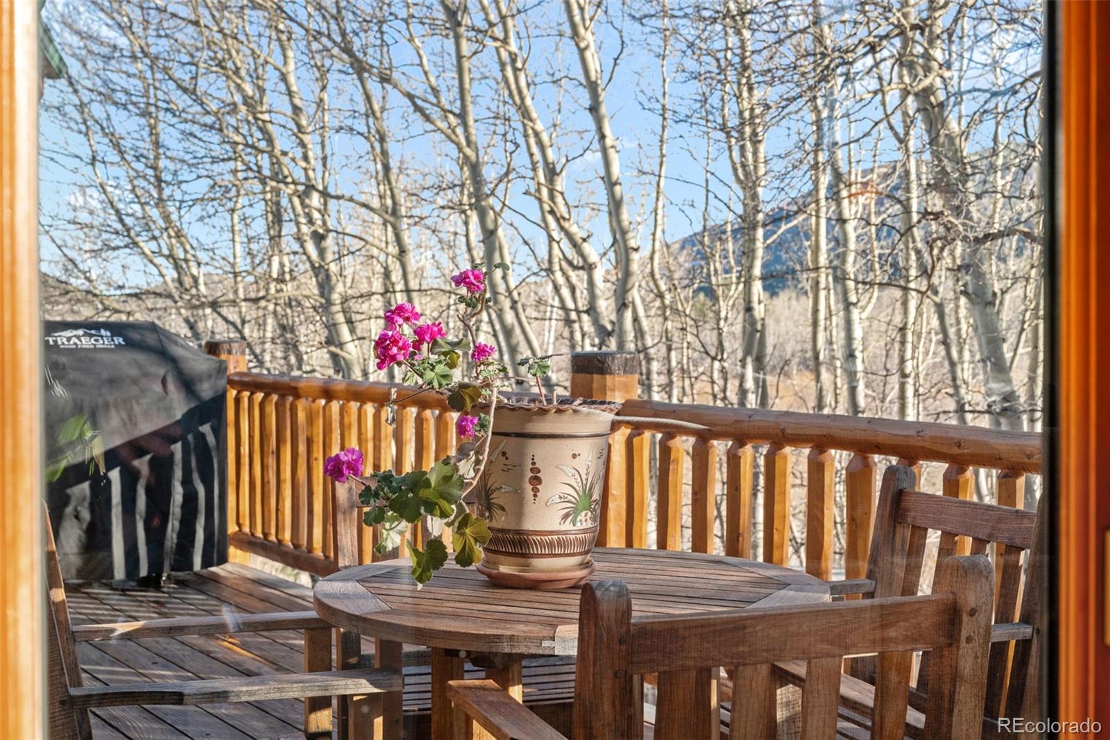 MLS Image #8 for 44  forest ridge circle,bailey, Colorado