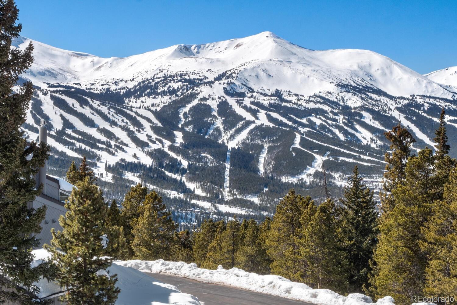MLS Image #1 for 160 n fuller placer road,breckenridge, Colorado