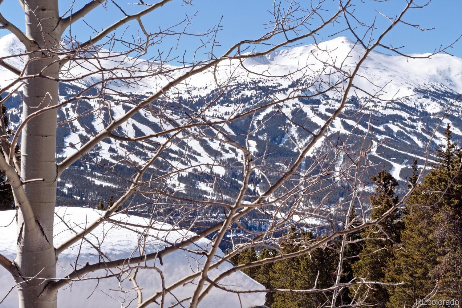 MLS Image #15 for 160 n fuller placer road,breckenridge, Colorado