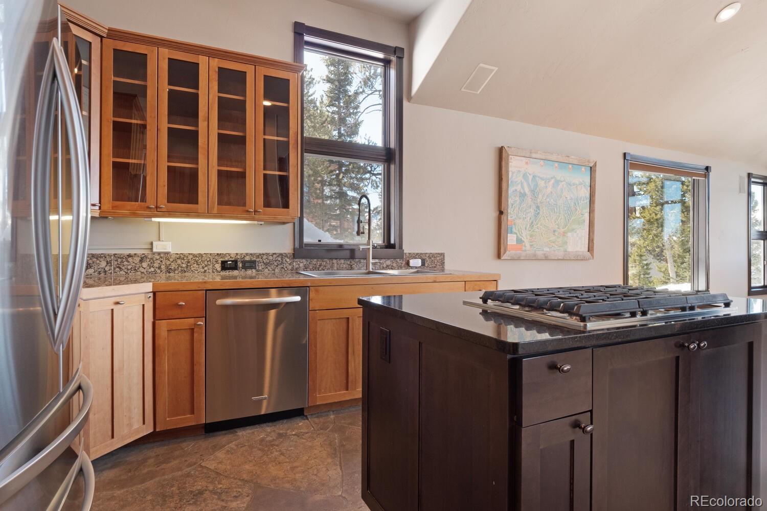 MLS Image #19 for 160 n fuller placer road,breckenridge, Colorado