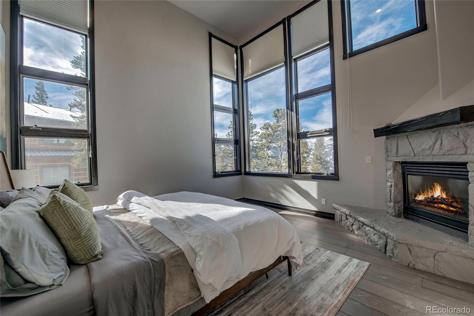 MLS Image #25 for 160 n fuller placer road,breckenridge, Colorado