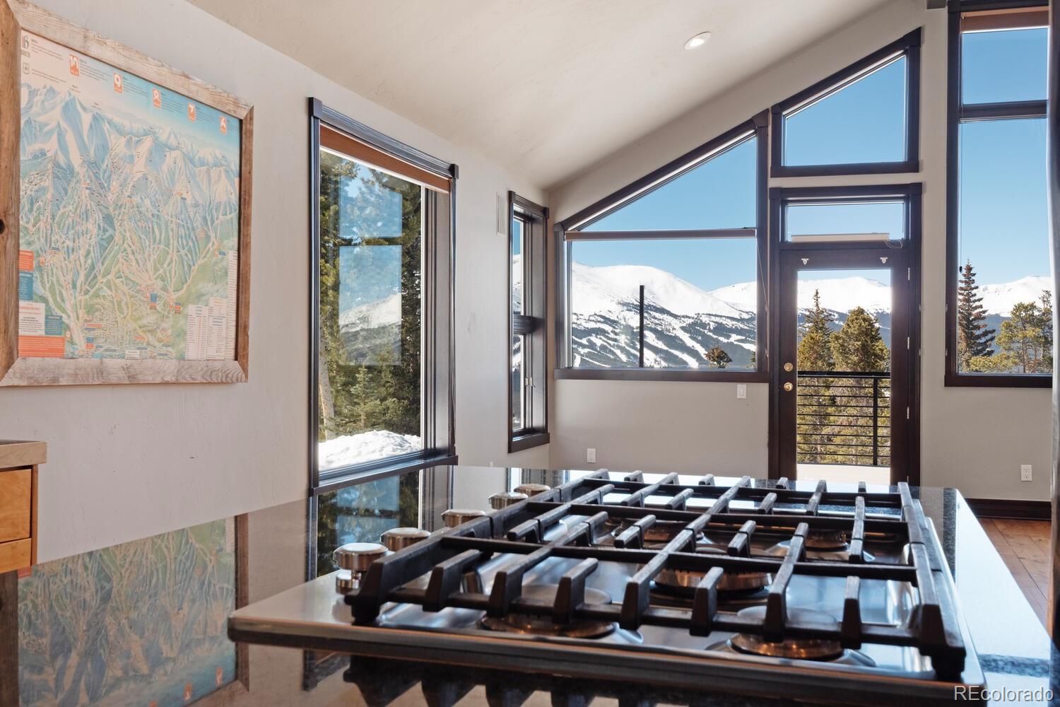 MLS Image #27 for 160 n fuller placer road,breckenridge, Colorado