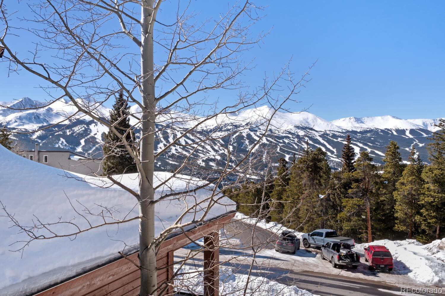 MLS Image #42 for 160 n fuller placer road,breckenridge, Colorado