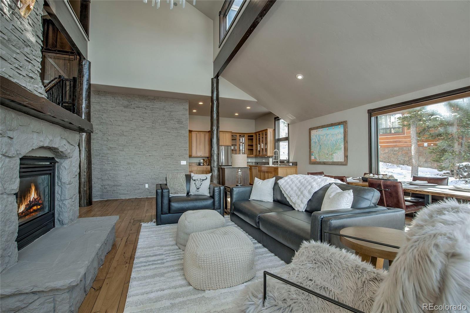 MLS Image #9 for 160 n fuller placer road,breckenridge, Colorado