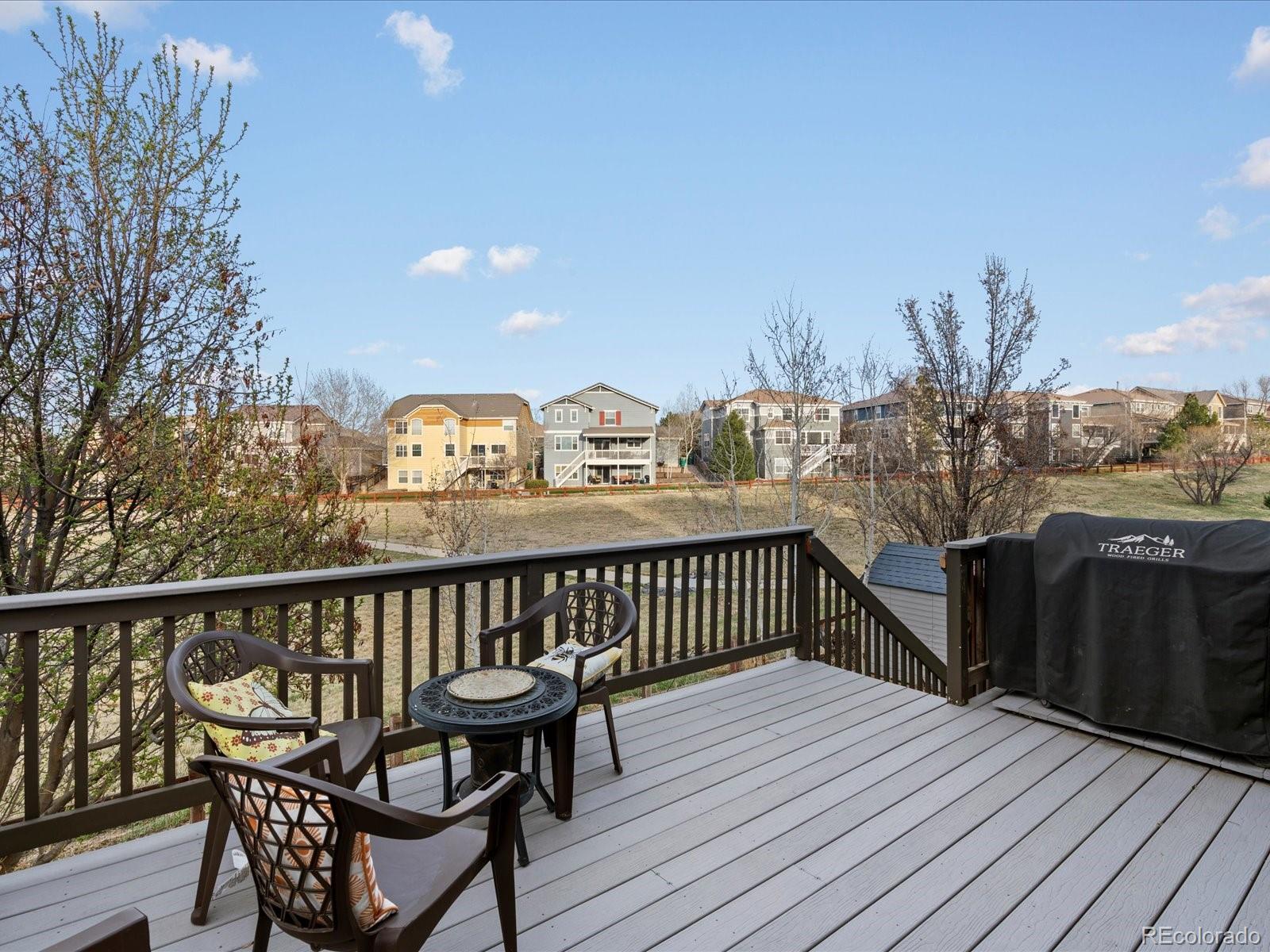 MLS Image #21 for 3294  willowrun drive,castle rock, Colorado
