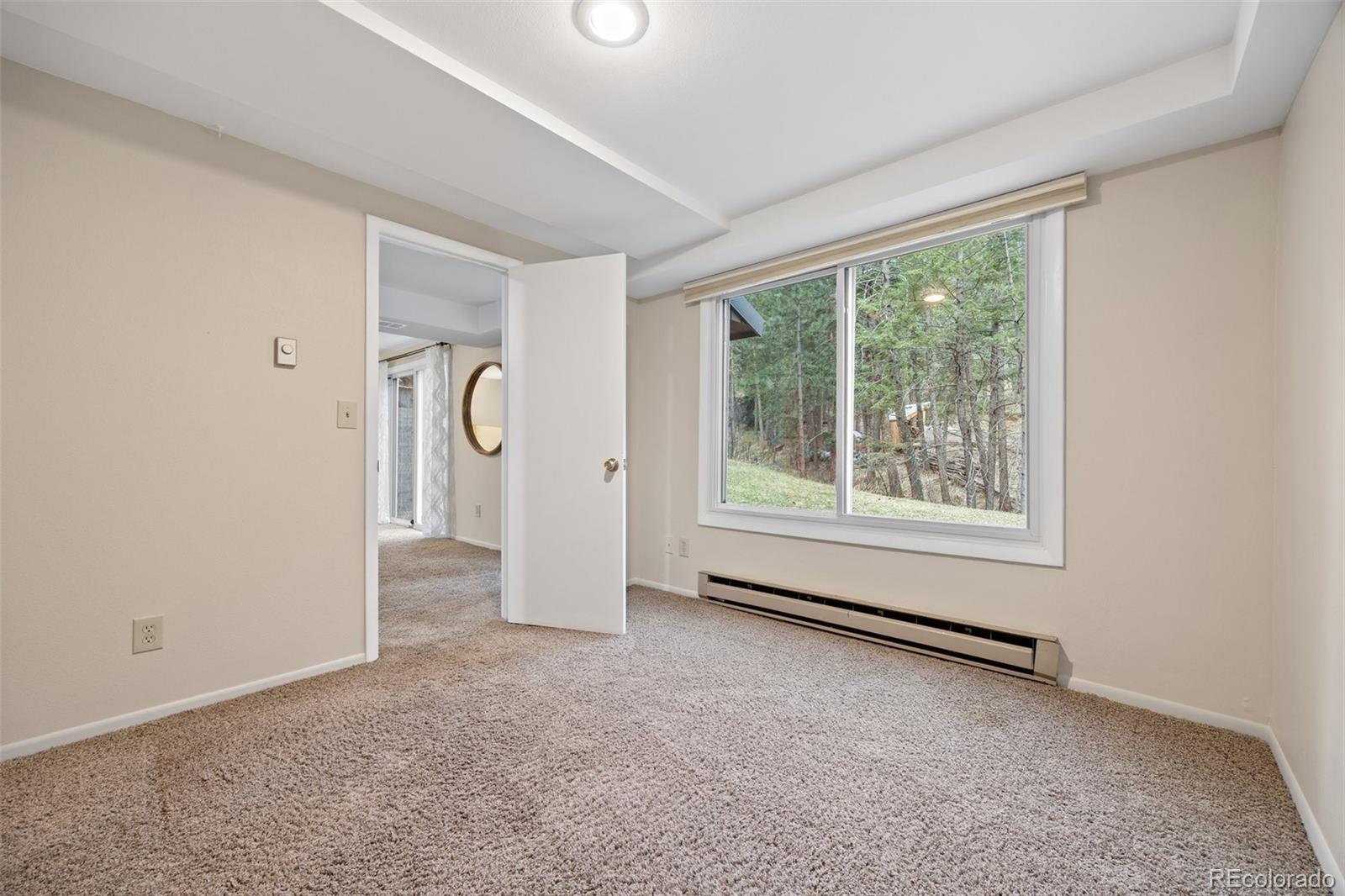 MLS Image #29 for 27891  columbine road,evergreen, Colorado