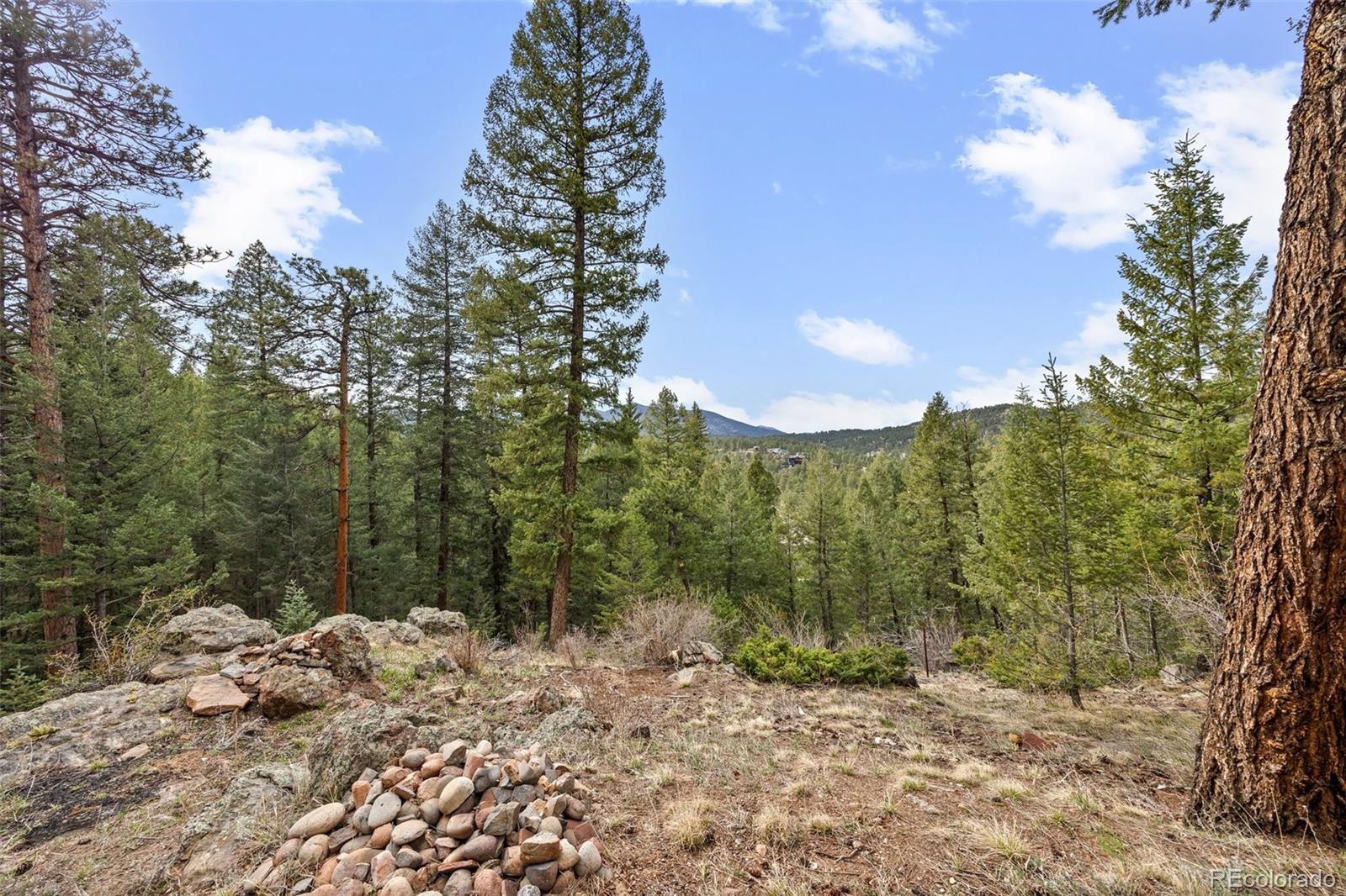 MLS Image #38 for 27891  columbine road,evergreen, Colorado