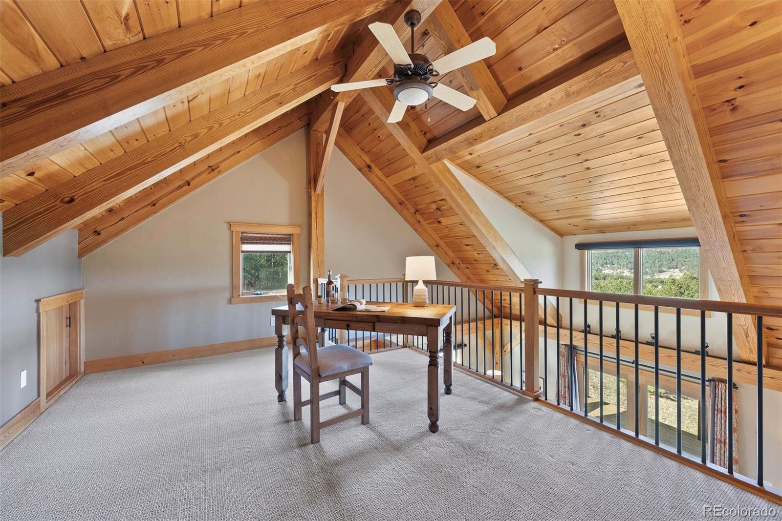 MLS Image #29 for 280  hess avenue,golden, Colorado