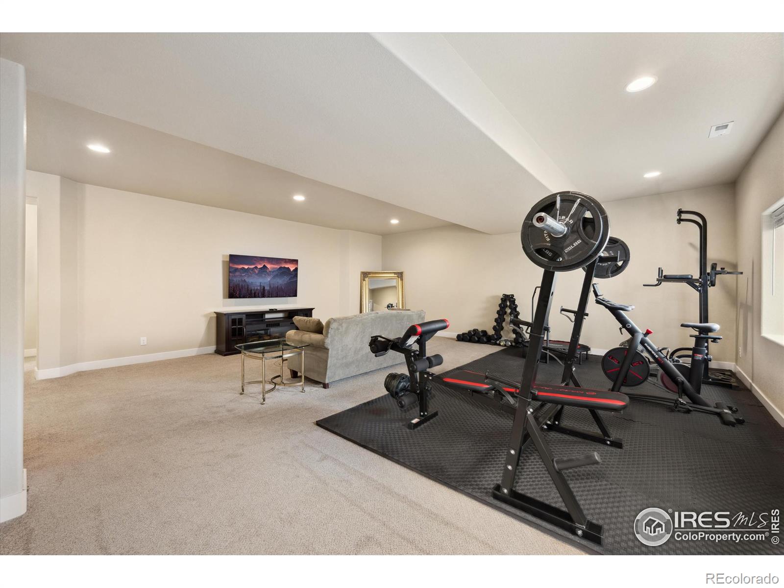 MLS Image #10 for 2117  cadman street,berthoud, Colorado