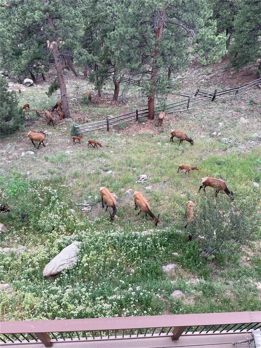 MLS Image #44 for 3961  mossy rock lane,evergreen, Colorado