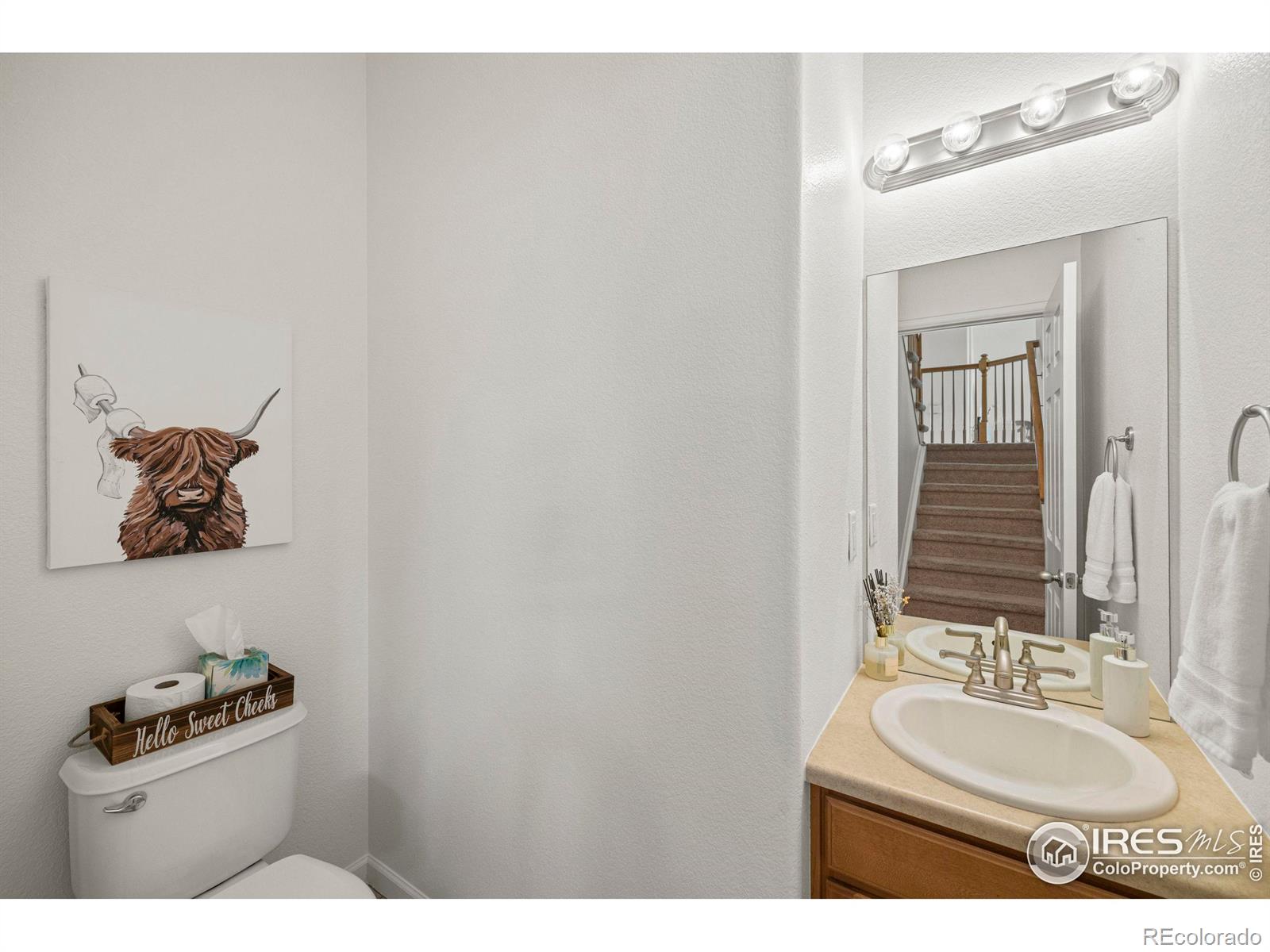 MLS Image #17 for 453  harbor court,windsor, Colorado