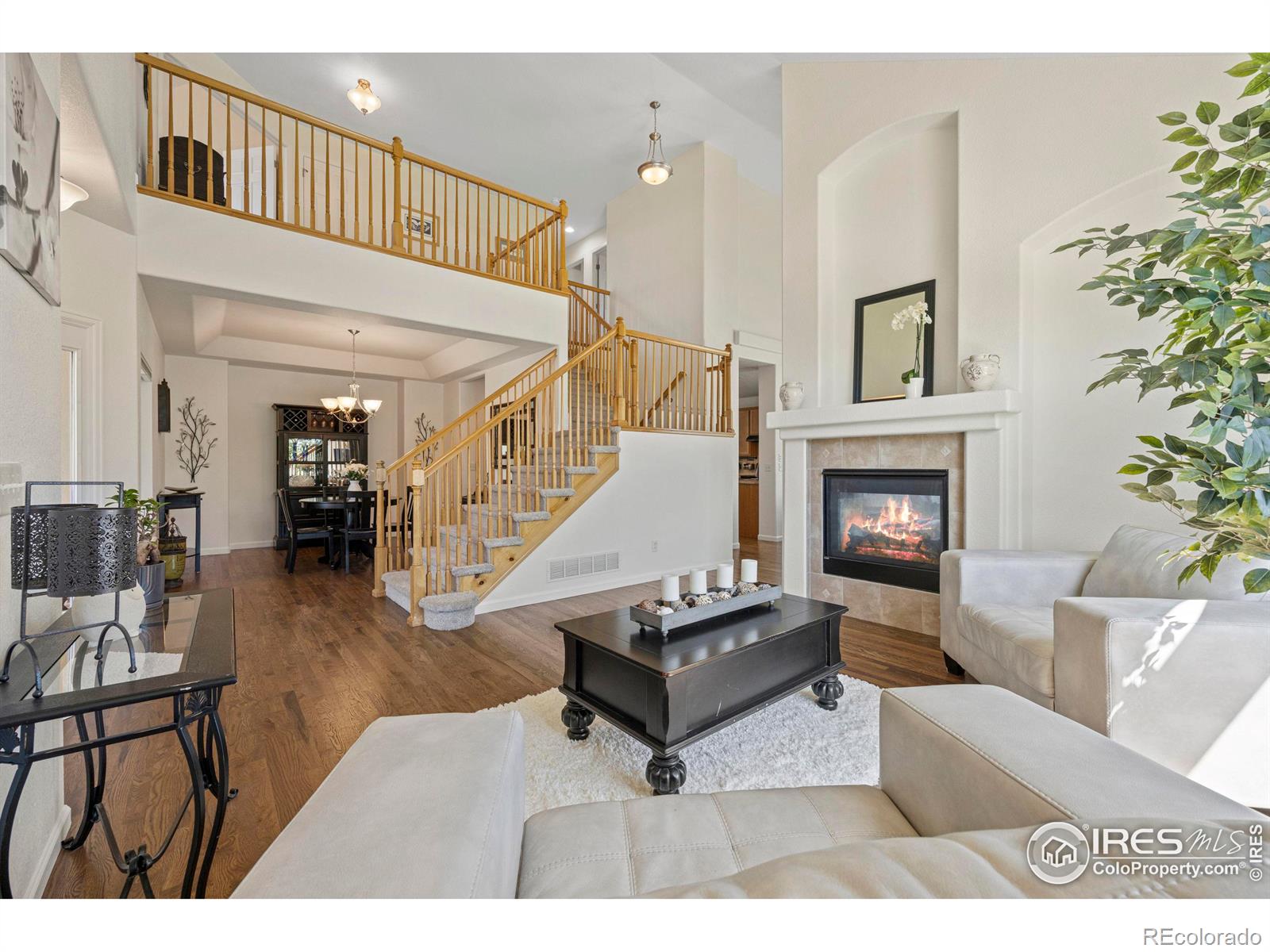 MLS Image #3 for 453  harbor court,windsor, Colorado