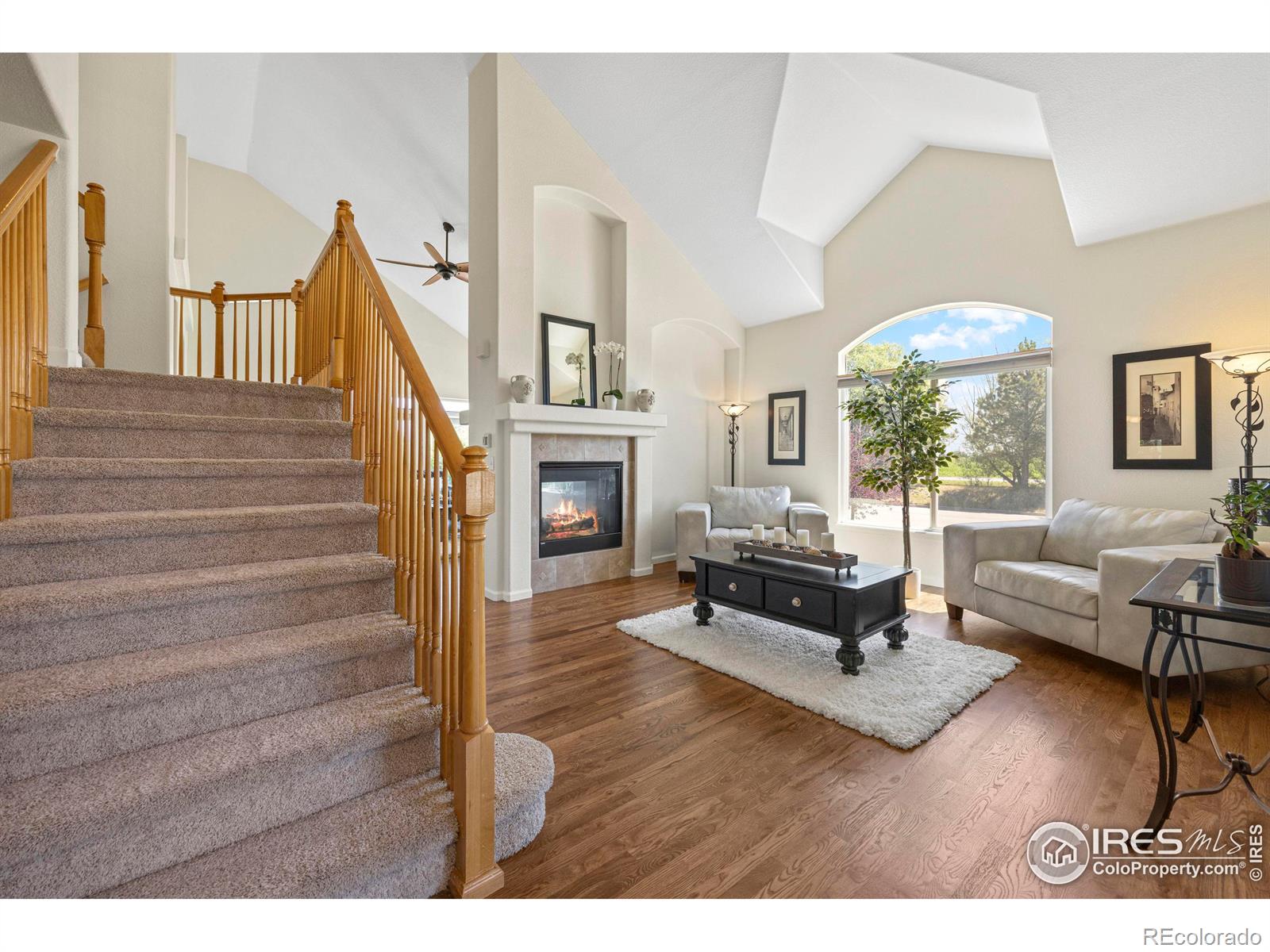 MLS Image #7 for 453  harbor court,windsor, Colorado