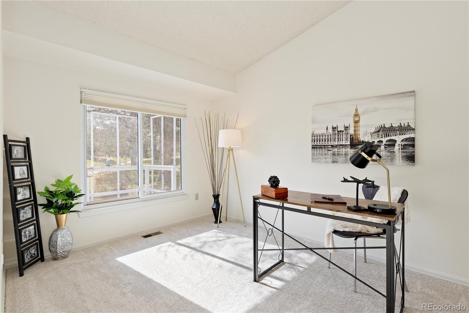 MLS Image #17 for 11  canongate lane,highlands ranch, Colorado