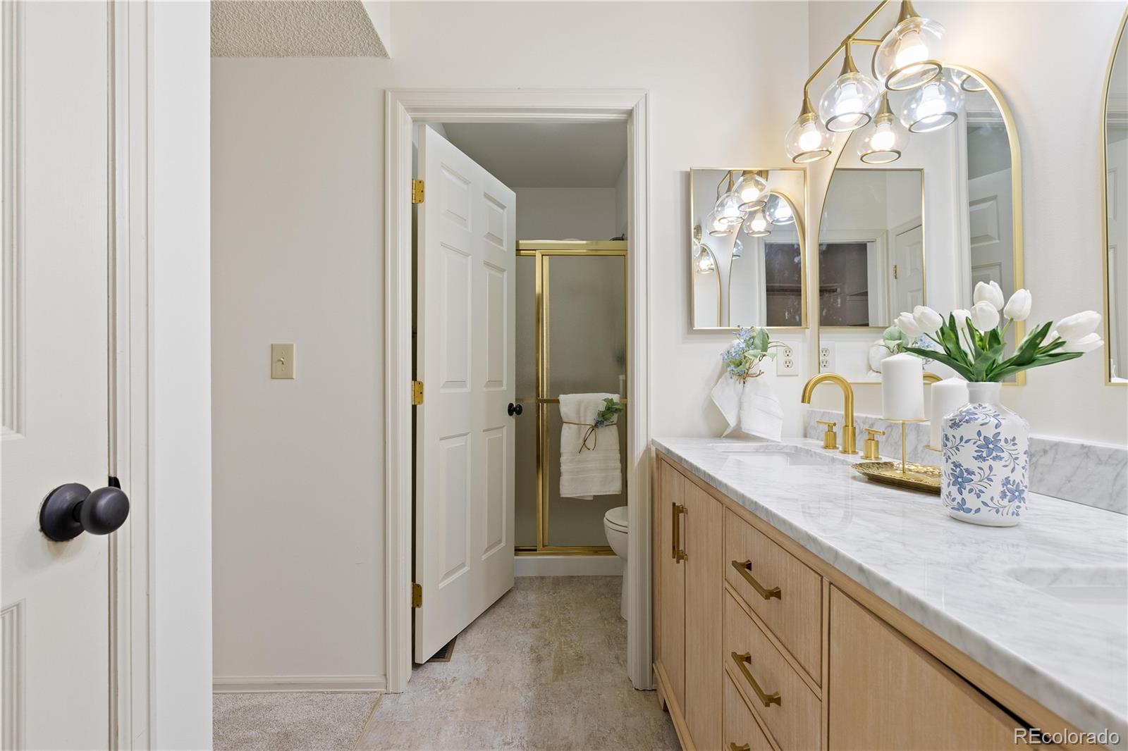 MLS Image #24 for 11  canongate lane,highlands ranch, Colorado