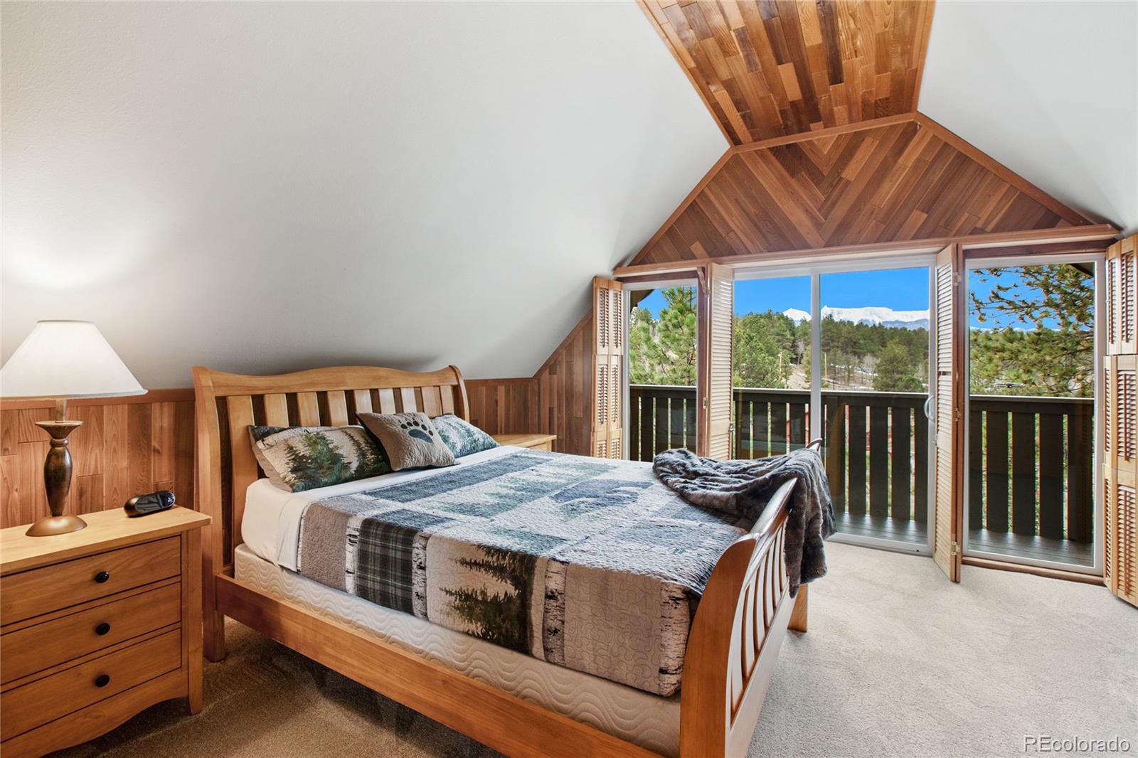 MLS Image #17 for 40  westwood drive,woodland park, Colorado