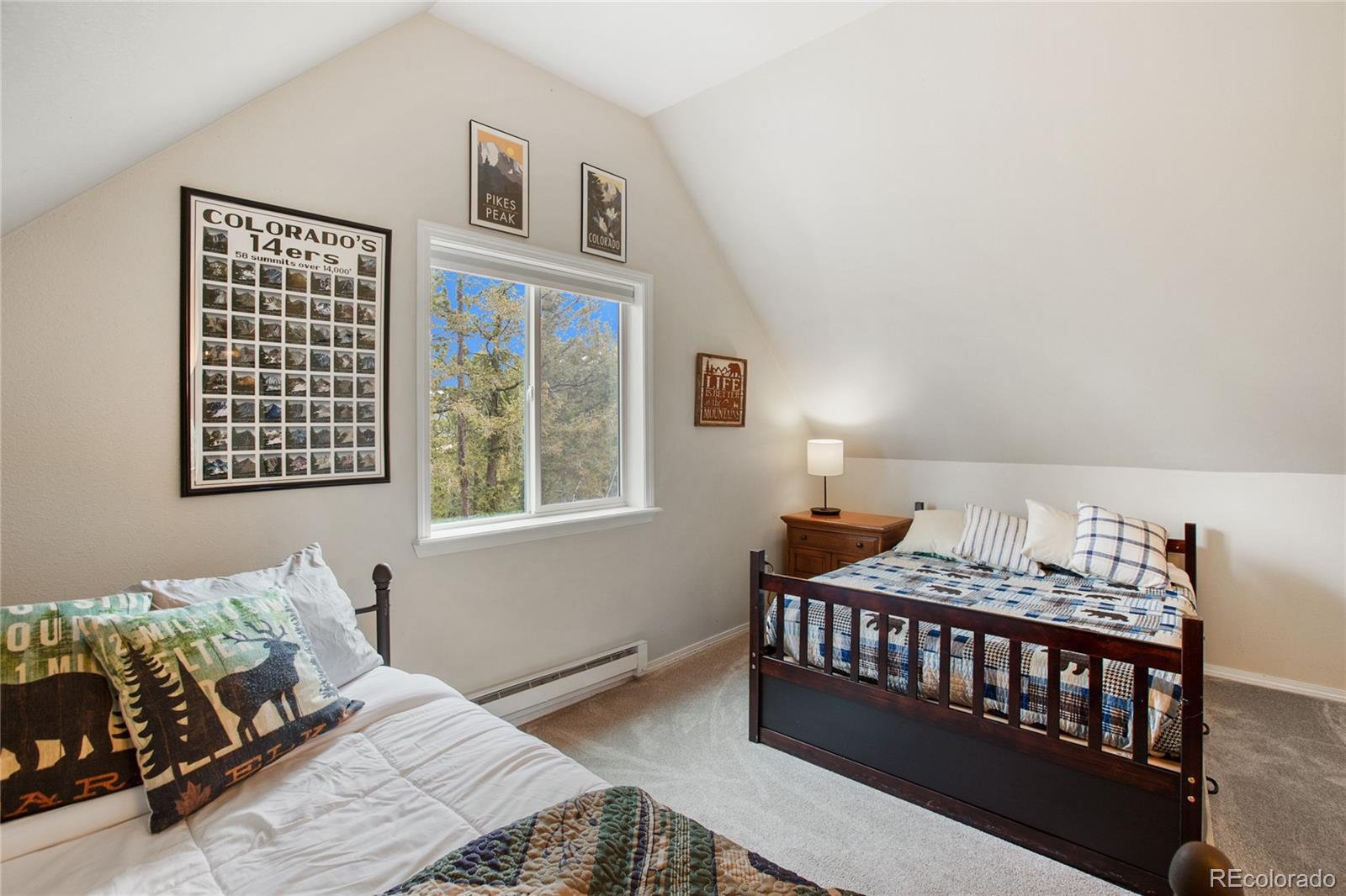 MLS Image #21 for 40  westwood drive,woodland park, Colorado