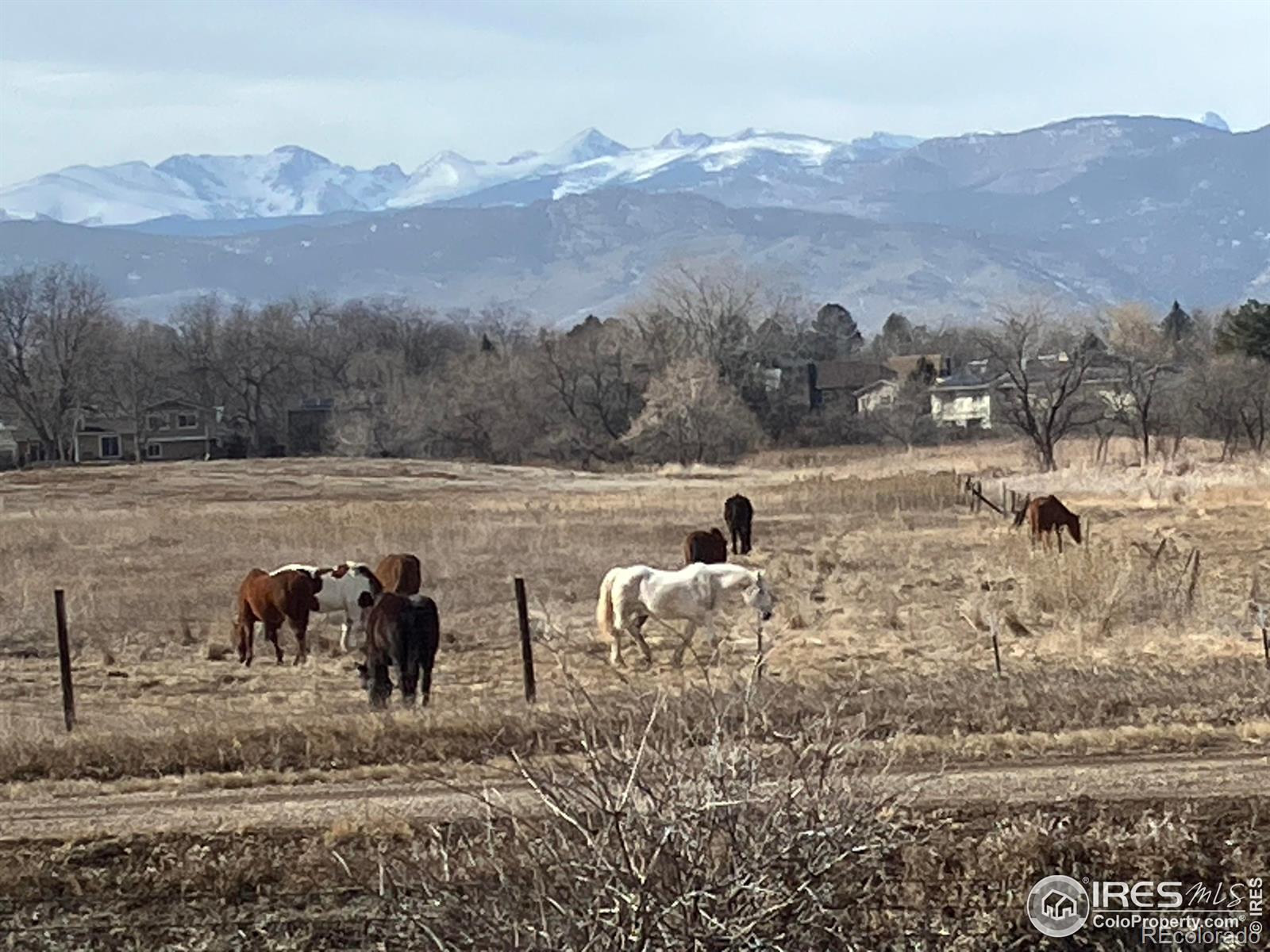 MLS Image #25 for 4505  carter trail,boulder, Colorado