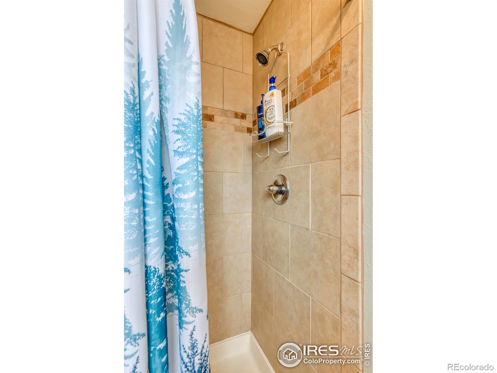 MLS Image #20 for 1102  birch street,gilcrest, Colorado