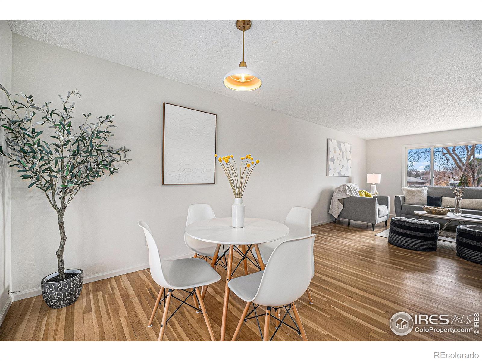 MLS Image #6 for 1529  ashcroft drive,longmont, Colorado