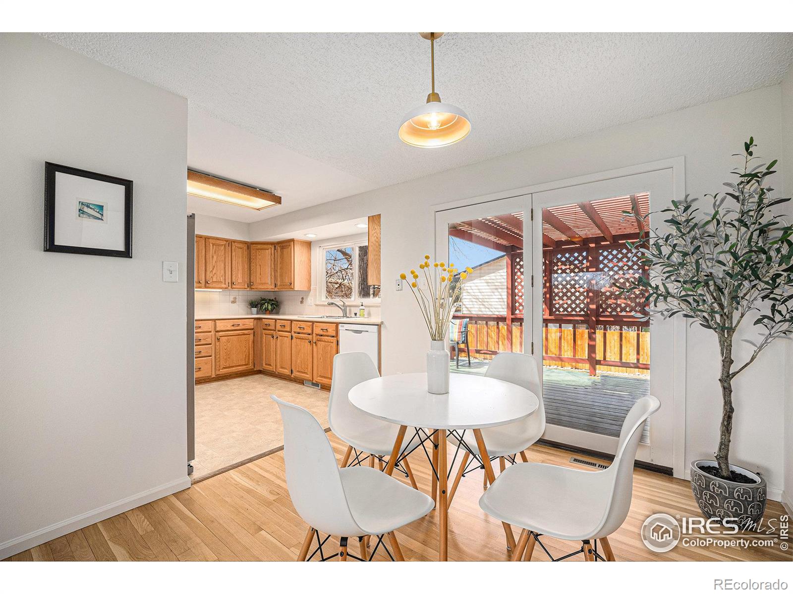 MLS Image #7 for 1529  ashcroft drive,longmont, Colorado