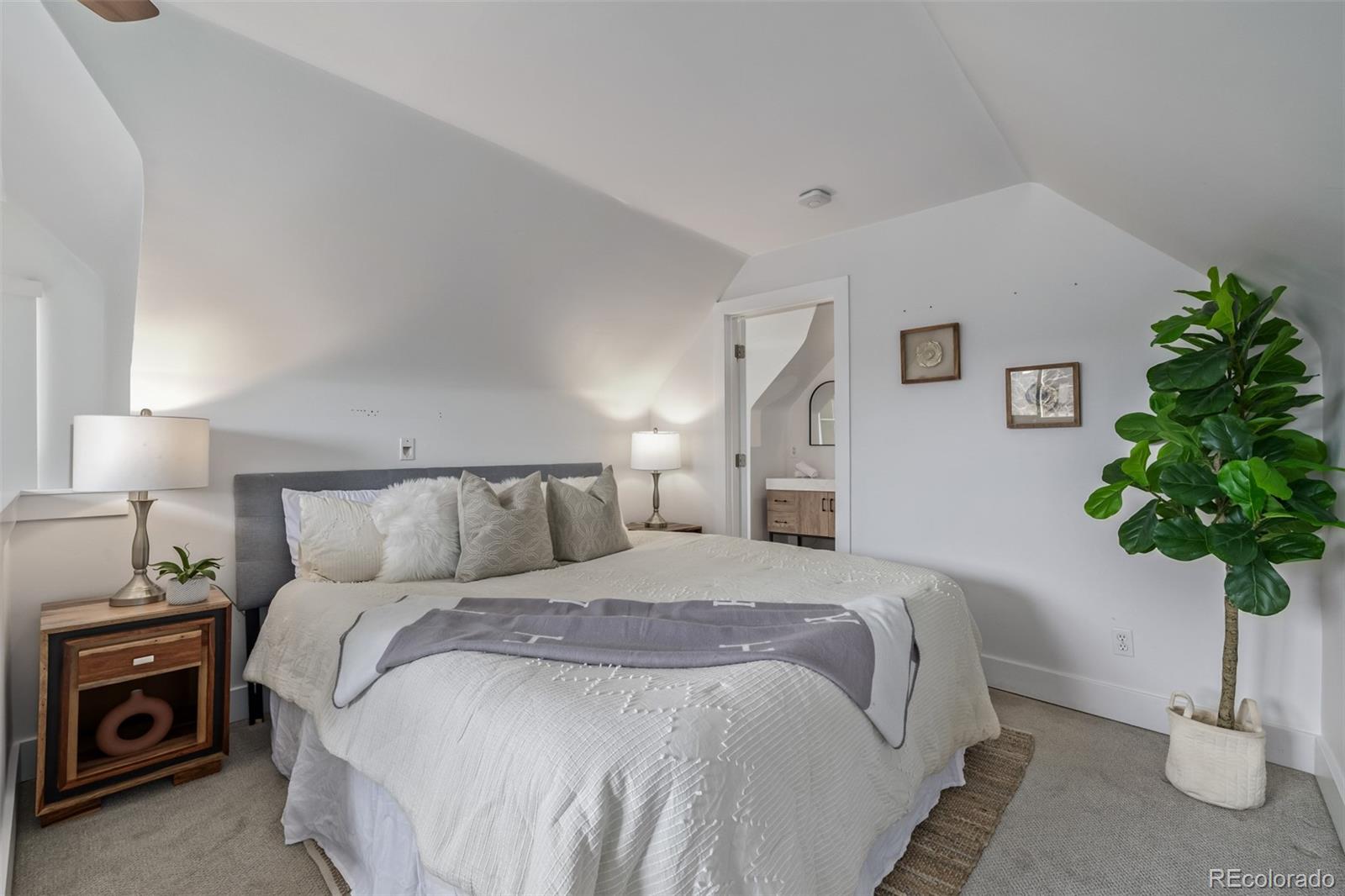 MLS Image #16 for 3050 n marion street,denver, Colorado
