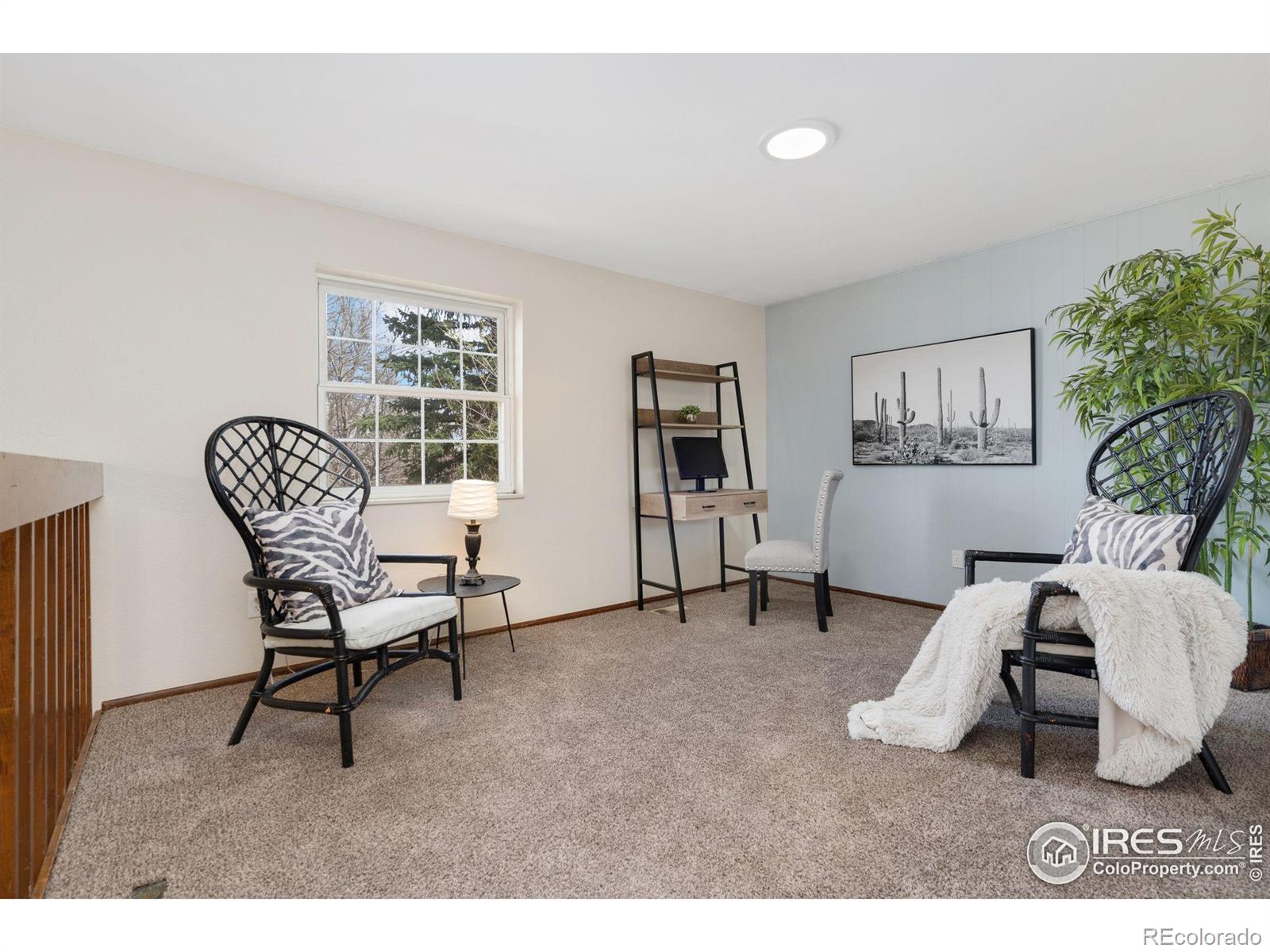 MLS Image #18 for 1818  hull street,fort collins, Colorado