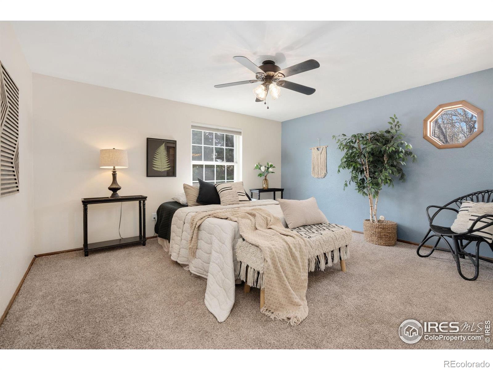 MLS Image #21 for 1818  hull street,fort collins, Colorado