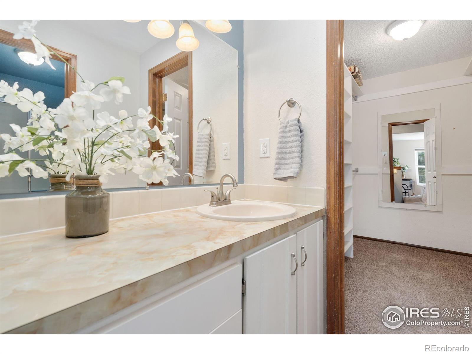 MLS Image #23 for 1818  hull street,fort collins, Colorado