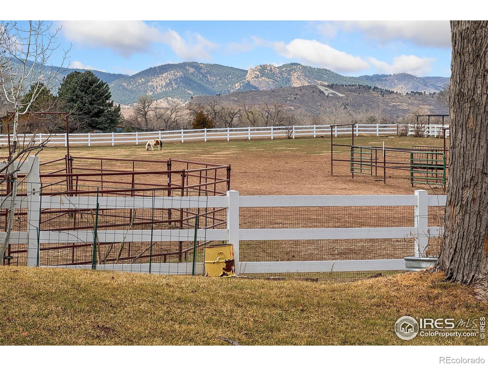 MLS Image #35 for 1818  hull street,fort collins, Colorado